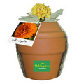 Deluxe Plant Kit with Marigold Seeds